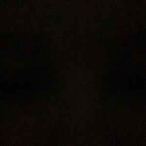 Meet your Posher, Joey